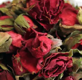 Red Rose Buds