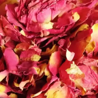 Rose Petals