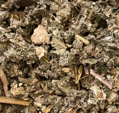 Raspberry Leaves