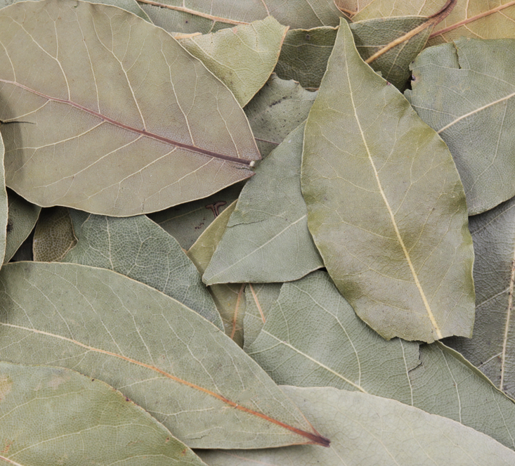 Bay Leaves